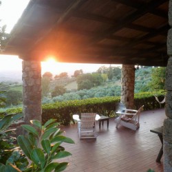 B&B - appartement Vista sull'oliveto