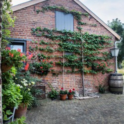 In-Bemelen