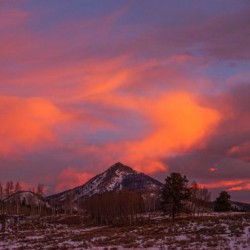 The Woof Ranch Bed & Breakfast 