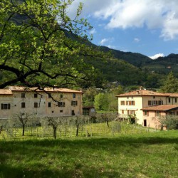 Cervano A world of pure relaxation, nature and fun on Garda lake, Italy
